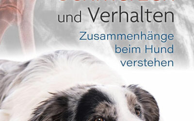 Buchtipp: Schmerzen und Verhalten