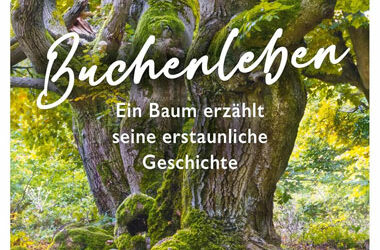 Buchtipp: Buchenleben